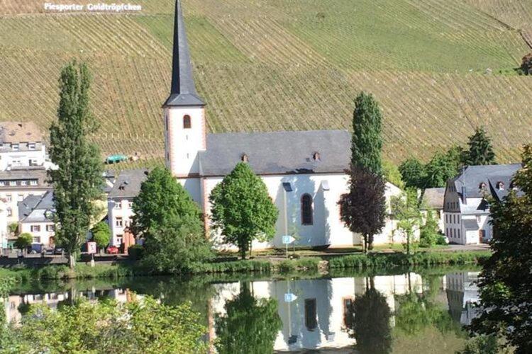 Restful Apartment In Neumagen Near River Moselle Екстериор снимка